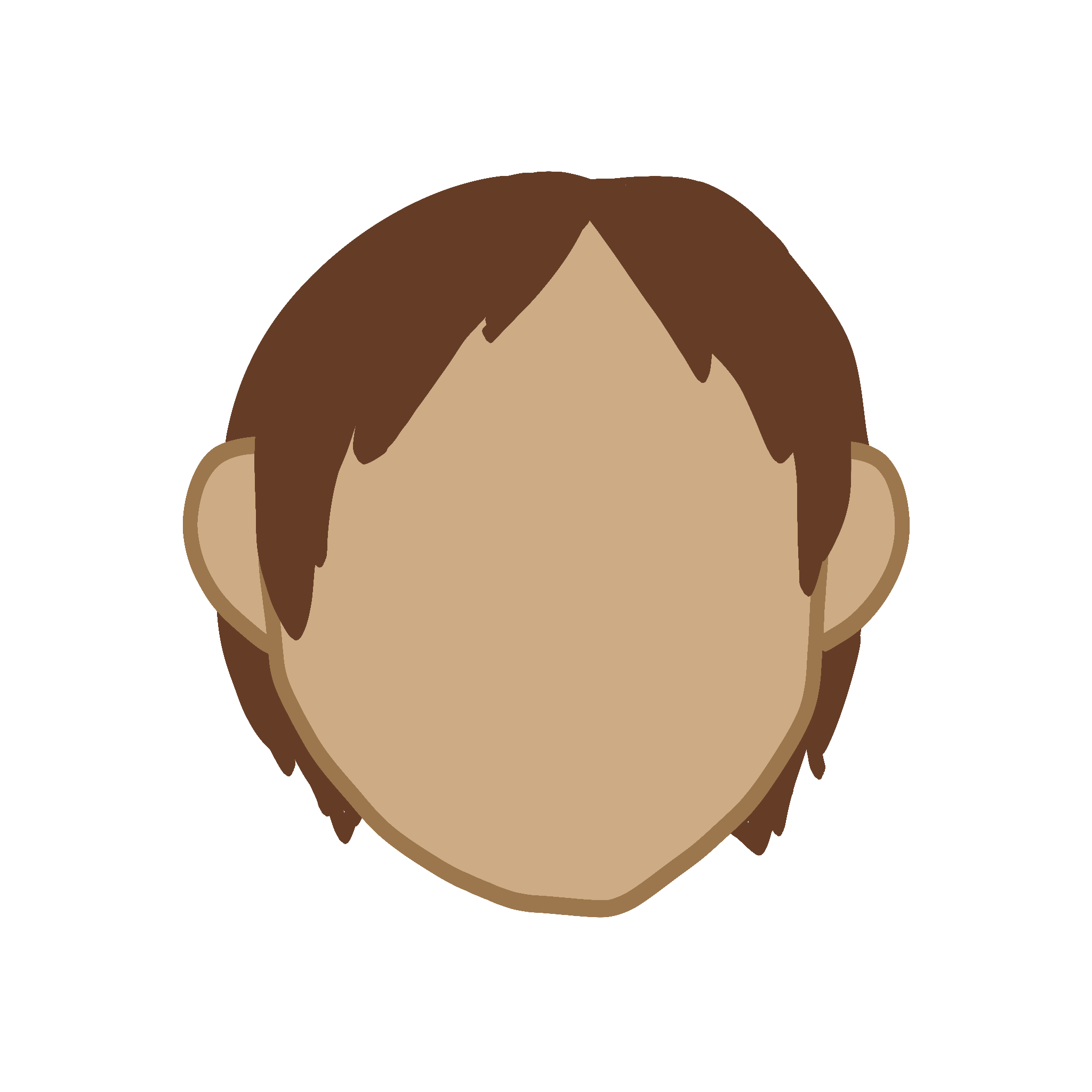 A Human head with no facial features and reddish brown hair